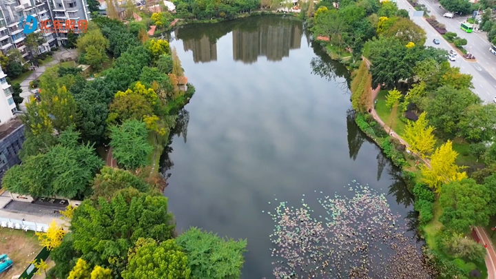 一半天光，一半自然！藏在城市里的湿地秘境